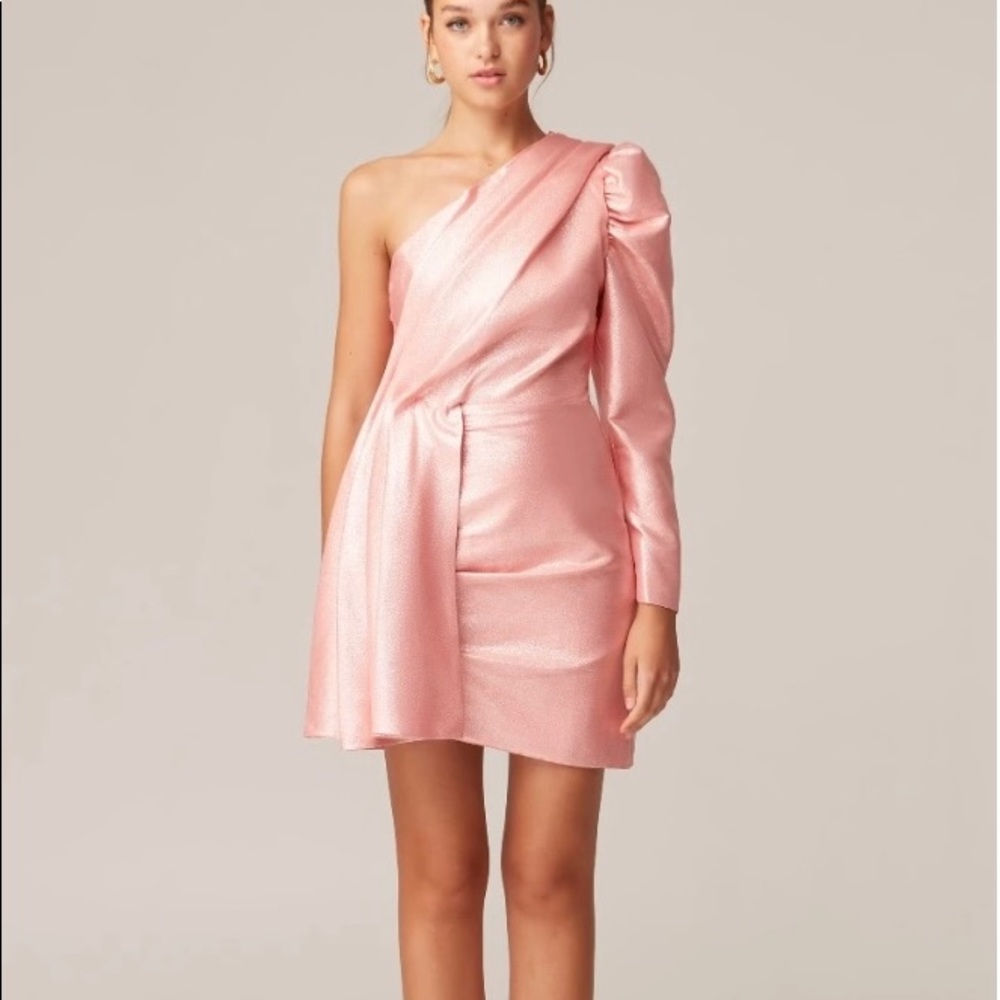 NWT Keepsake The Label Indulge Mini Dress